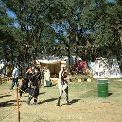 Fair Oaks Renaissance Tudor Fayre